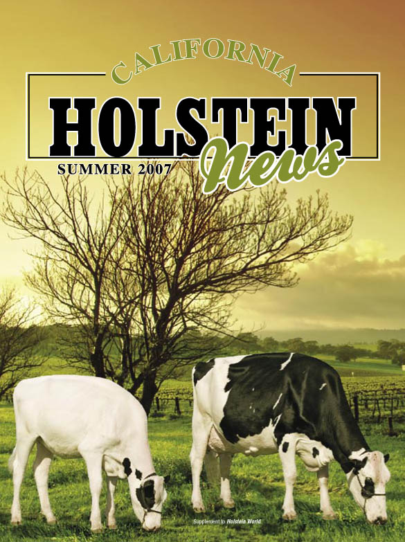 2007 annual cover